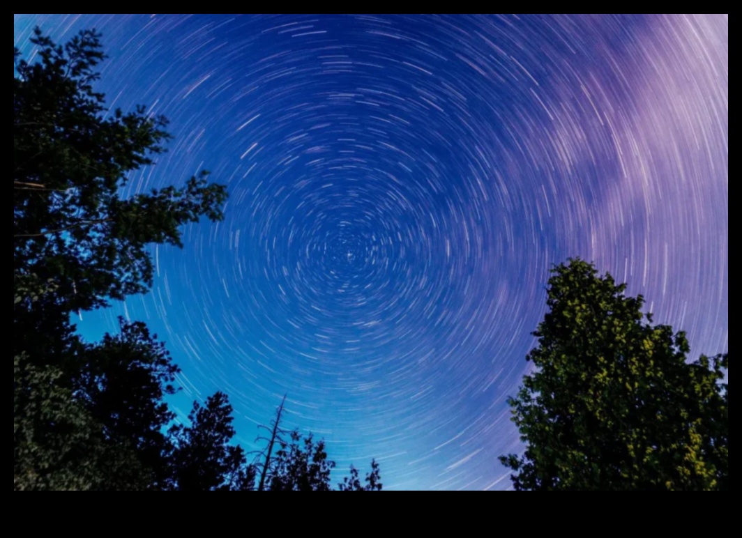 أساطير التعرض الطويل: كاميرات لالتقاط مسارات الضوء ومسارات النجوم