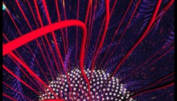 الترميز الإبداعي في الكم: لغة الفن البصري في الاستكشاف الحسابي