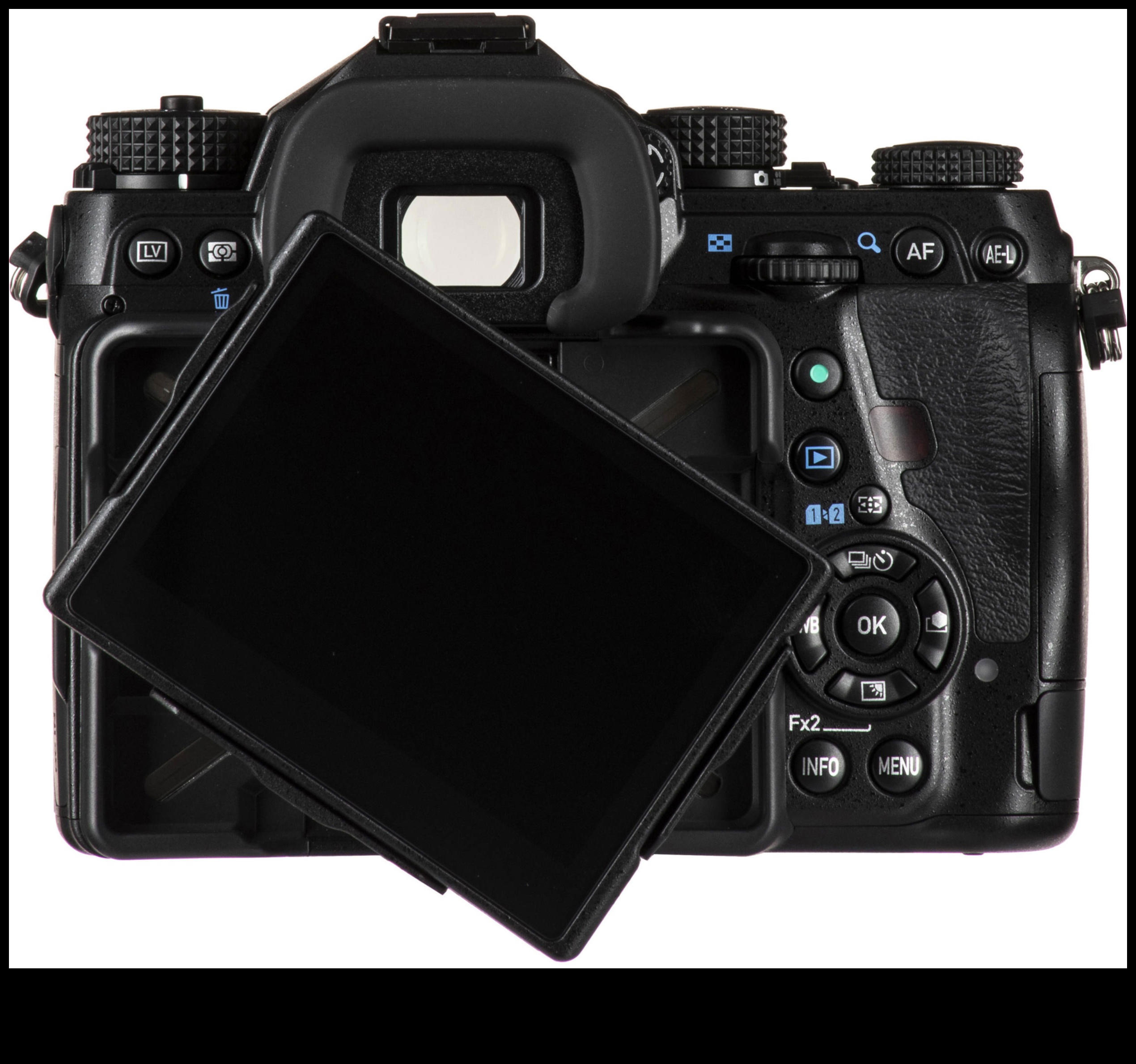 تأطيرها بشكل صحيح: الكاميرات ذات شاشات اللمس المفصلية