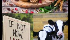 الروتين النباتي والأكل الموسمي بطولة صنعت على الجنة 3 النظام النباتي والأكل الموسمي: تسخير قوة الطبيعة