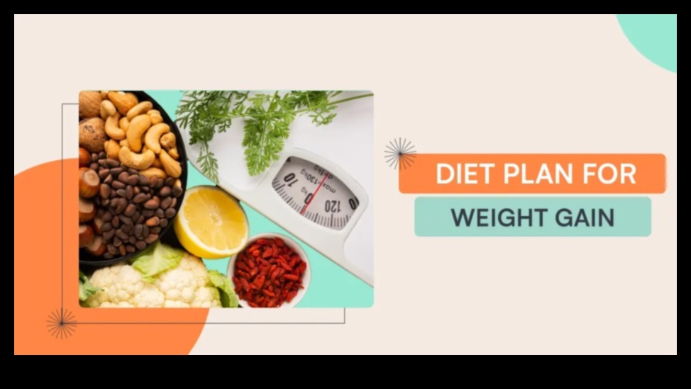 النظام الغذائي لزيادة الوزن - دليل النجاح 4 أهمية إجراء فحوصات منتظمة لنظامك الغذائي لزيادة الوزن