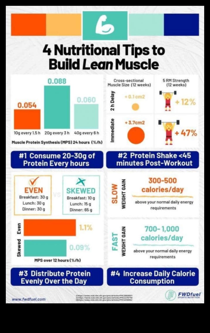 حمية زيادة الوزن - دليل النجاح 3 أهمية إجراء فحوصات منتظمة لنظامك الغذائي لزيادة الوزن