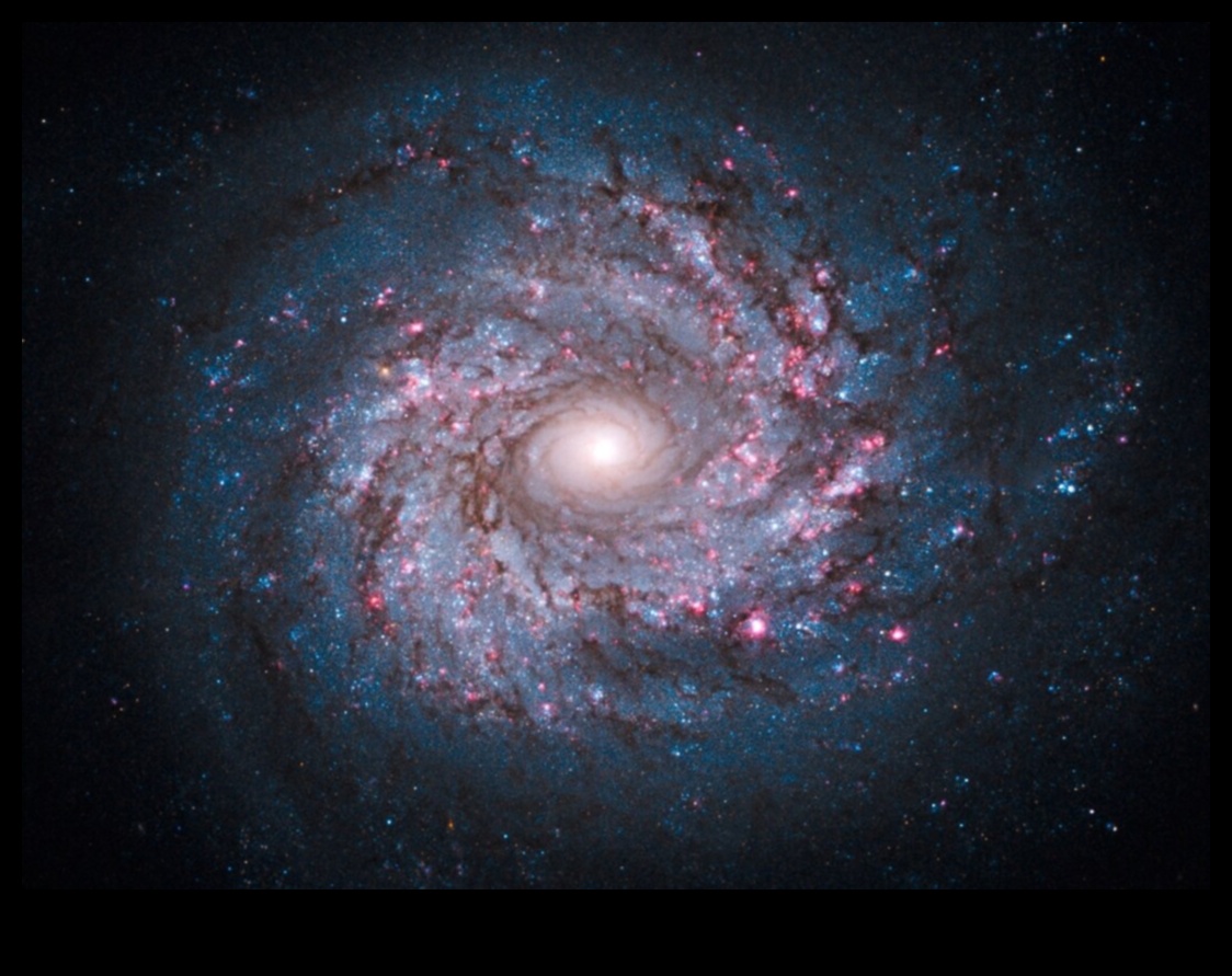 الأناقة الكسوفة للعجائب السماوية في المجرات 2 الأناقة المكسوفة: النداء الجمالي للعجائب السماوية في المجرات