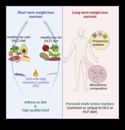 الأنظمة الغذائية قصيرة المدى والحفاظ على الوزن بعد النظام الغذائي: استراتيجيات النجاح