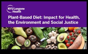 النظام النباتي والعدالة الاجتماعية: البعد الأخلاقي للحياة النباتية