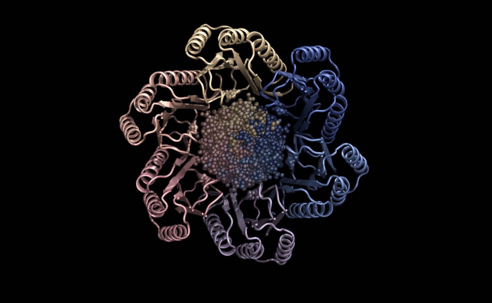 فن البكسلات الصحية: دليل إبداعي لاستكشاف التكنولوجيا الحيوية 5 فن البكسلات الصحية: إتقان حرفة استكشاف التكنولوجيا الحيوية الإبداعية