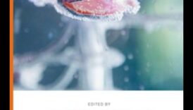 فن البكسلات الصحية: برهان مبتكر لاستكشاف الخبرة الطاقة 1 فن البكسلات الصحية: إتقان حرفة استكشاف التكنولوجيا الحيوية الإبداعية