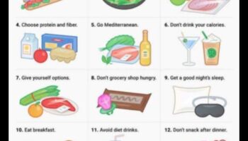 بناء عادات صحية: رحلة الأنظمة الغذائية طويلة الأمد